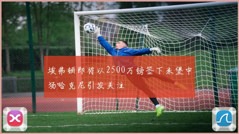 埃弗顿即将以2500万镑签下米堡中场哈克尼引发关注