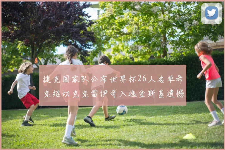 捷克国家队公布世界杯26人名单希克绍切克克雷伊奇入选金斯基遗憾落选